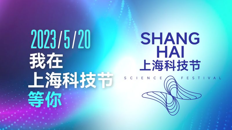 OA协同办公，功能对比解析：选择与优化之道